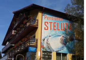 Pensiunea Steluta Predeal